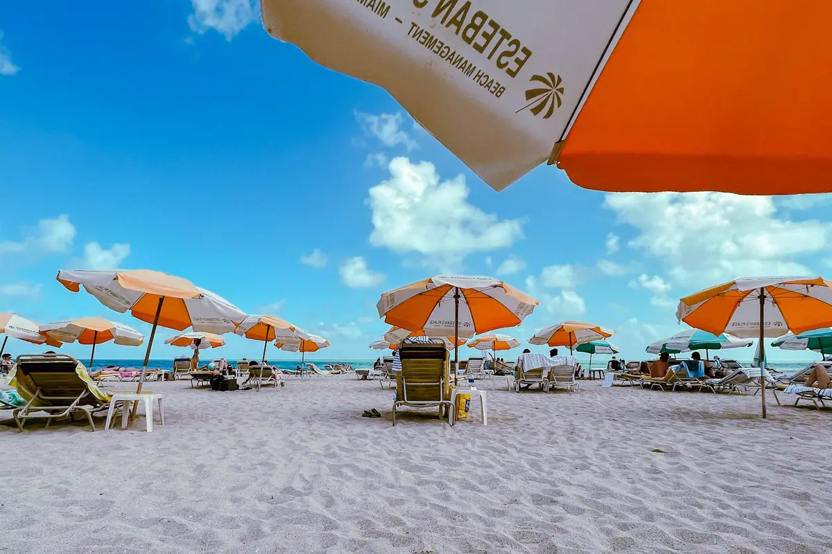 Rows of beach chairs and umbrellas set out on pale sand