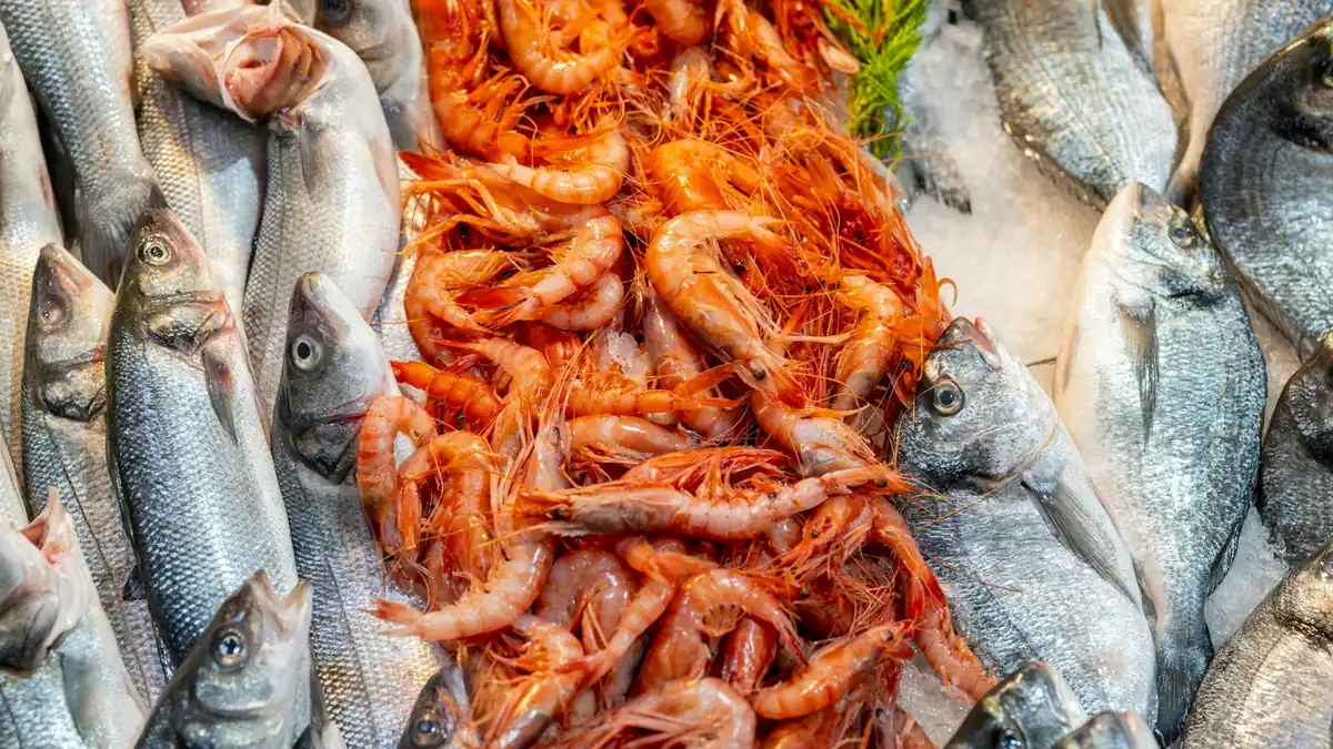 Whole fresh fish laid out on a market table