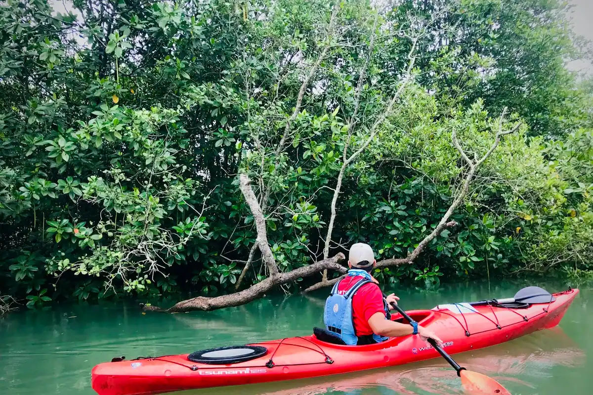 A person paddling a red kayak along a sheltered stretch of calm water