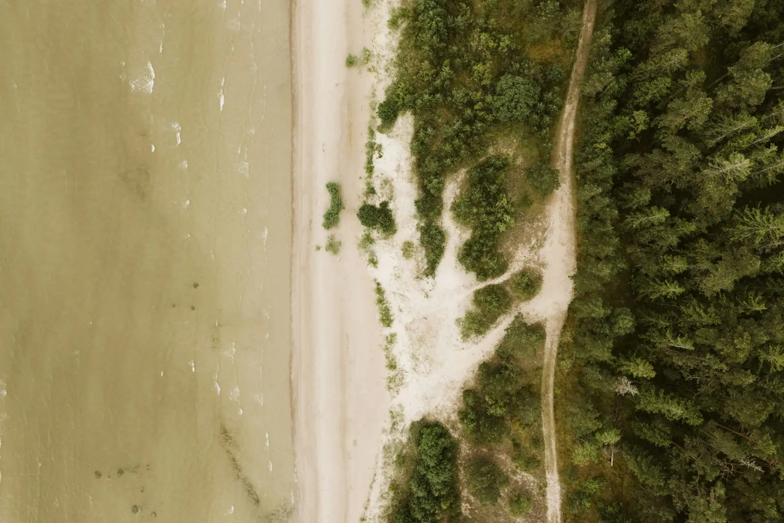 Aerial view of a narrow strip of undeveloped pale sand between green water and dense forest