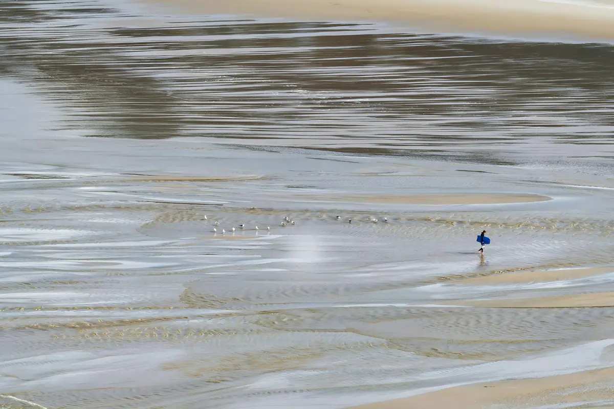A single small shorebird walking across a thin film of water on a wide sand flat